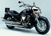 2004 Kawasaki VN 2000 (VN2000-A1) photo